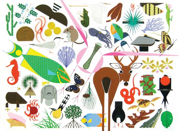 Produktbild: Charley Harper's Animal Kingdom