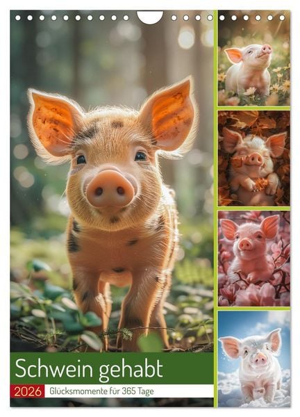 Produktbild: Schwein gehabt (Wandkalender 2026 DIN A4 hoch), CALVENDO Monatskalender