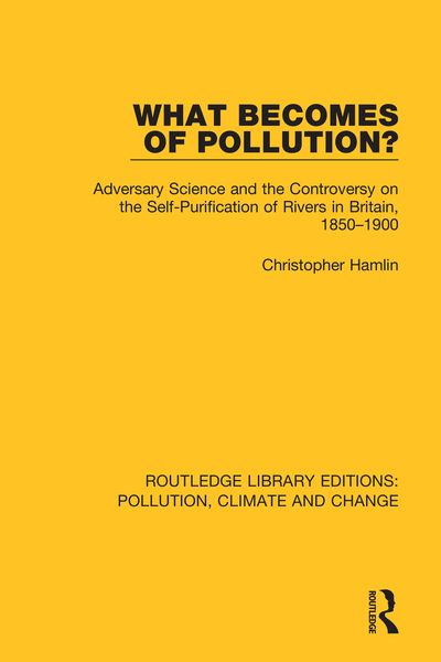 Produktbild: What Becomes of Pollution?