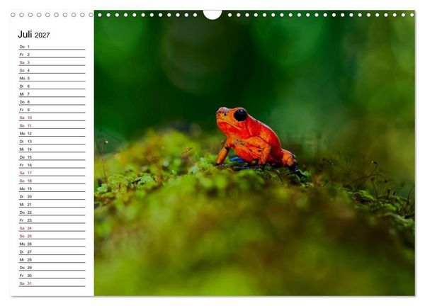 Produktbild: Costa Rica &ndash; Tierparadies im Regenwald (Wandkalender 2027 DIN A3 quer), CALVENDO Monatskalender