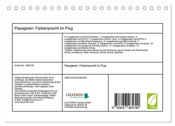Produktbild: Papageien: Farbenpracht im Flug (Tischkalender 2026 DIN A5 quer), CALVENDO Monatskalender