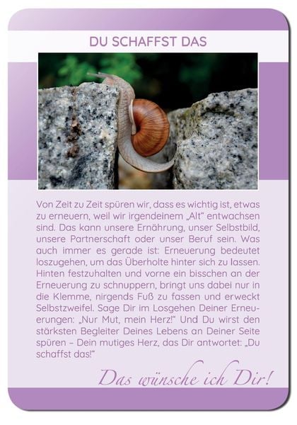 Produktbild: Das w&uuml;nsche ich Dir | 62 Achtsamkeitskarten | Lebensweisheiten, Coaching & Empowerment | sch&ouml;ne Geschenkidee
