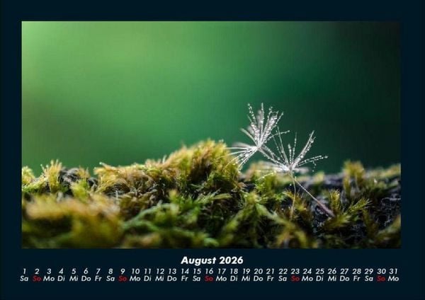 Produktbild: Bilder aus der Natur 2026 Fotokalender DIN A4