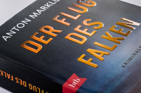 Produktbild: Der Flug des Falken