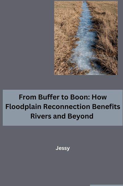 Produktbild: From Buffer to Boon: How Floodplain Reconnection Benefits Rivers and Beyond
