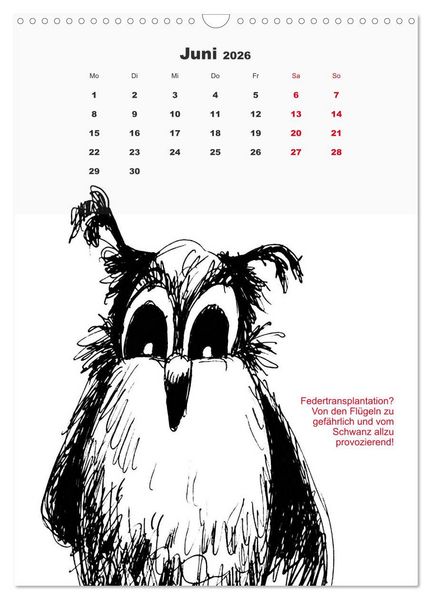 Produktbild: Vor dem Spiegel 2026 (Wandkalender 2026 DIN A3 hoch), CALVENDO Monatskalender