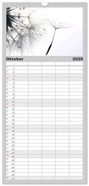 Produktbild: Familienplaner 2026 - Filigrane Pusteblumen / Geburtstagskalender mit 5 Spalten (Wandkalender, 21 x 45 cm) CALVENDO