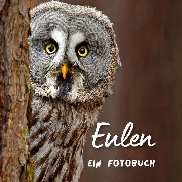 Produktbild: Eulen
