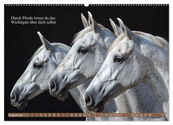 Produktbild: Pferde vervollst&auml;ndigen dein Leben (hochwertiger Premium Wandkalender 2026 DIN A2 quer), Kunstdruck in Hochglanz