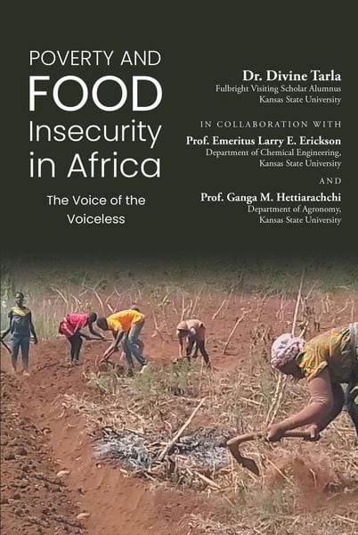 Produktbild: Poverty and Food Insecurity in Africa