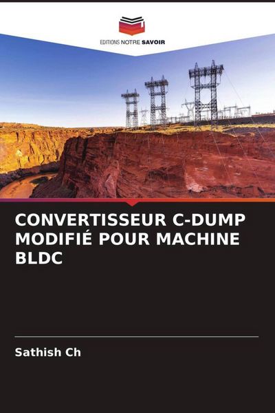 Produktbild: Convertisseur C-Dump Modifi&eacute; Pour Machine Bldc