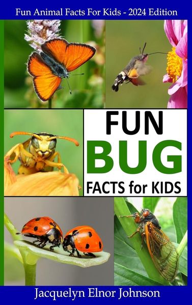 Produktbild: Fun Bug Facts for Kids
