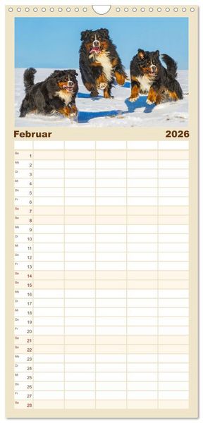 Produktbild: Familienplaner 2026 - Berner Sennenhund - Ein Freund auf vier Pfoten mit 5 Spalten (Wandkalender, 21 x 45 cm) CALVENDO
