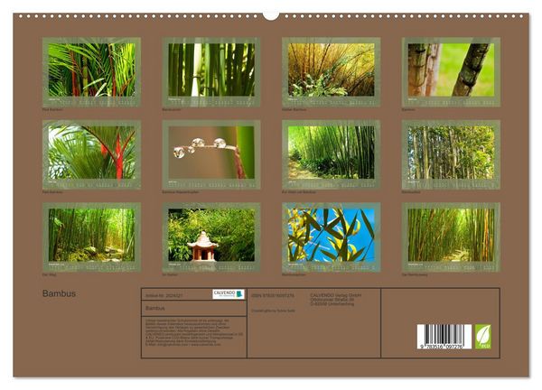 Produktbild: Bambus (hochwertiger Premium Wandkalender 2026 DIN A2 quer), Kunstdruck in Hochglanz