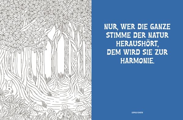 Produktbild: Colorful Mandala &ndash; Mandala &ndash; Spaziergang durch die Natur