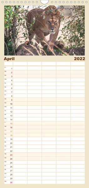 Produktbild: L&ouml;wen - Raubkatzen Afrikas - Familienplaner hoch (Wandkalender 2022 , 21 cm x 45 cm, hoch)