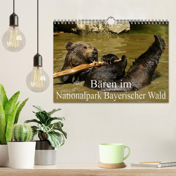 Produktbild: B&auml;ren im Nationalpark Bayerischer Wald (Wandkalender 2026 DIN A4 quer), CALVENDO Monatskalender
