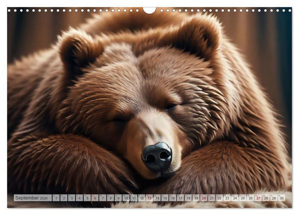 Produktbild: Traumhafte Ruhe - Ein Jahr mit s&uuml;&szlig;en Schlafm&uuml;tzen (Wandkalender 2026 DIN A3 quer), CALVENDO Monatskalender