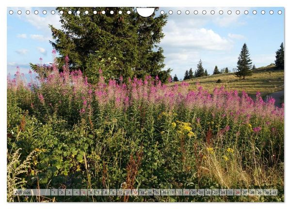 Produktbild: S&uuml;dschwarzwald - Impressionen (Wandkalender 2026 DIN A4 quer), CALVENDO Monatskalender
