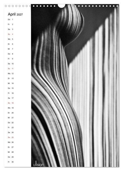 Produktbild: Akt abstrakt (Wandkalender 2027 DIN A3 hoch), CALVENDO Monatskalender