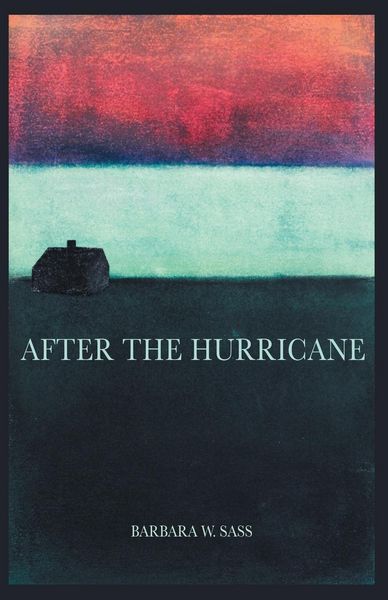 Produktbild: After The Hurricane