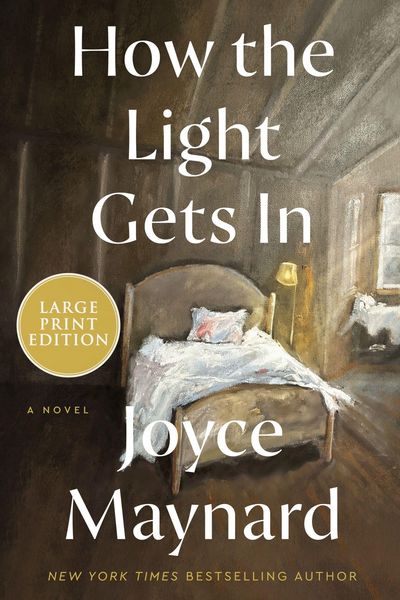 Produktbild: How the Light Gets in