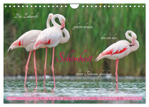Produktbild: The Power Of Pink (Wandkalender 2026 DIN A4 quer), CALVENDO Monatskalender