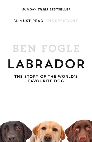 Produktbild: Labrador