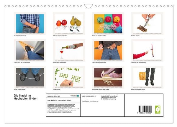 Produktbild: Die Nadel im Heuhaufen finden (Wandkalender 2027 DIN A3 quer), CALVENDO Monatskalender