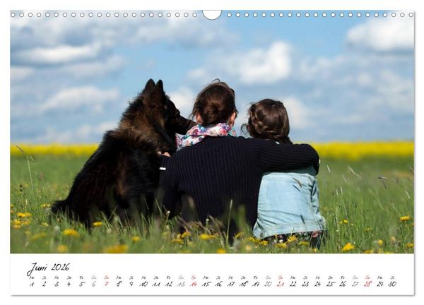 Produktbild: Der graue Deutsche Sch&auml;ferhund (Wandkalender 2026 DIN A3 quer), CALVENDO Monatskalender
