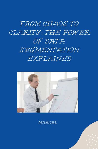 Produktbild: From Chaos to Clarity: The Power of Data Segmentation Explained
