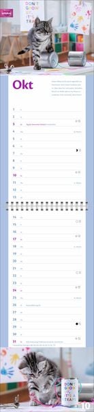 Produktbild: Whiskas Katzenleben Kalender 2027