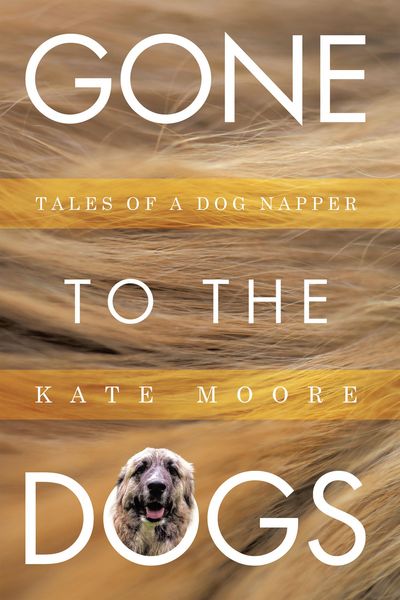 Produktbild: Gone To The Dogs
