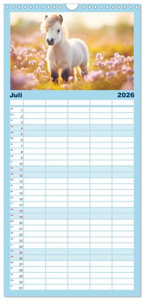 Produktbild: Familienplaner 2026 - Kleine Pferde. Mini-Ponys zum verlieben mit 5 Spalten (Wandkalender, 21 x 45 cm) CALVENDO