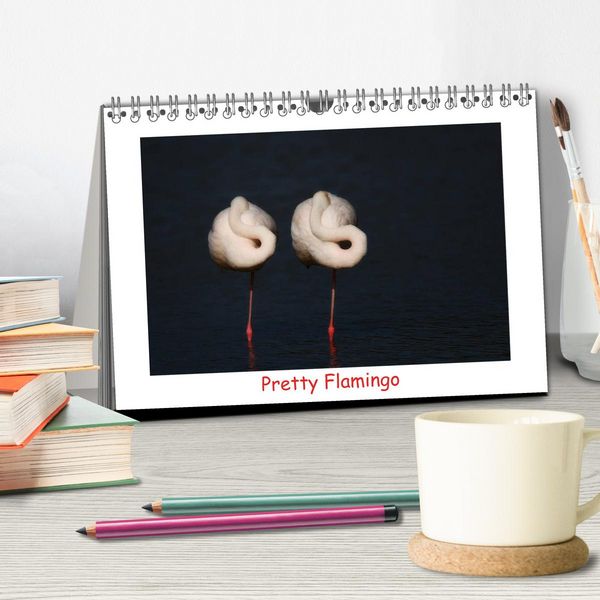 Produktbild: Pretty Flamingo (Tischkalender 2026 DIN A5 quer), CALVENDO Monatskalender