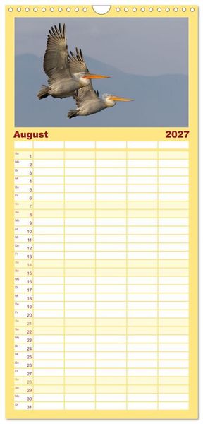 Produktbild: Familienplaner 2027 - Krauskopfpelikane mit 5 Spalten (Wandkalender, 21 x 45 cm) CALVENDO