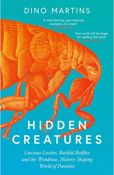 Produktbild: Hidden Creatures