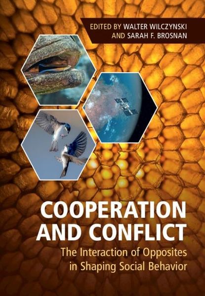 Produktbild: Cooperation and Conflict