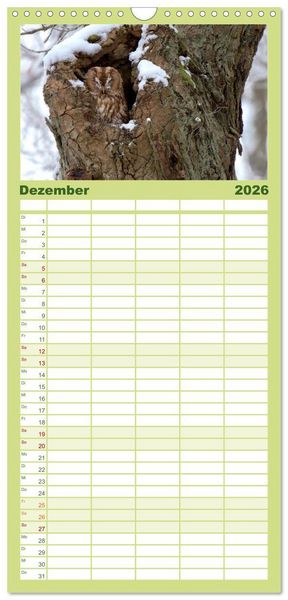 Produktbild: Familienplaner 2026 - geliebte Waldgeister mit 5 Spalten (Wandkalender, 21 x 45 cm) CALVENDO