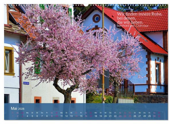 Produktbild: FASZINATION MANDELBL&Uuml;TE (hochwertiger Premium Wandkalender 2026 DIN A2 quer), Kunstdruck in Hochglanz