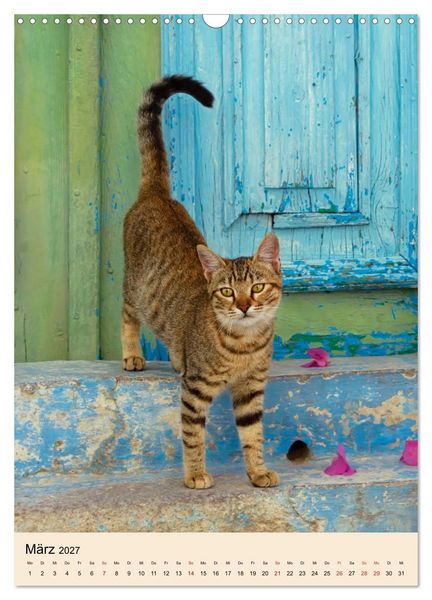 Produktbild: Katzen von Rhodos (Wandkalender 2027 DIN A3 hoch), CALVENDO Monatskalender