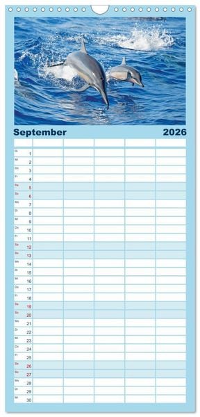 Produktbild: Familienplaner 2026 - Delfine: Elegante Wellenreiter mit 5 Spalten (Wandkalender, 21 x 45 cm) CALVENDO