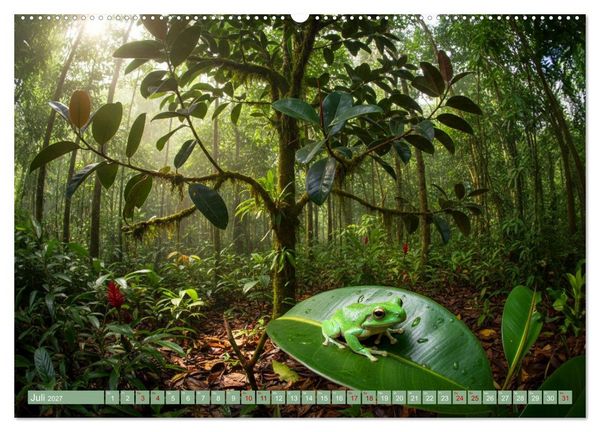 Produktbild: Zimmerpflanzen auf Heimaturlaub (Wandkalender 2027 DIN A2 quer), CALVENDO Monatskalender