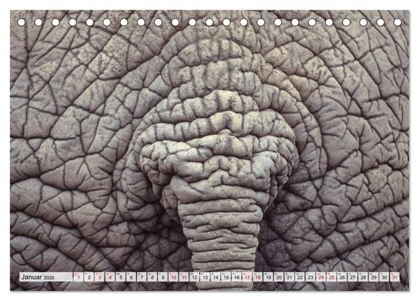 Produktbild: Popo-Kalender (Tischkalender 2026 DIN A5 quer), CALVENDO Monatskalender
