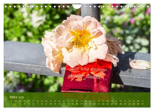 Produktbild: der staudengarten zu bad hersfeld (Wandkalender 2026 DIN A4 quer), CALVENDO Monatskalender