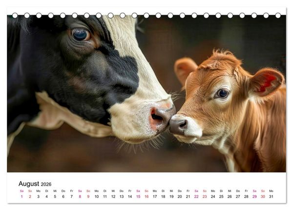 Produktbild: Holsteiner Sch&ouml;nheiten (Tischkalender 2026 DIN A5 quer), CALVENDO Monatskalender