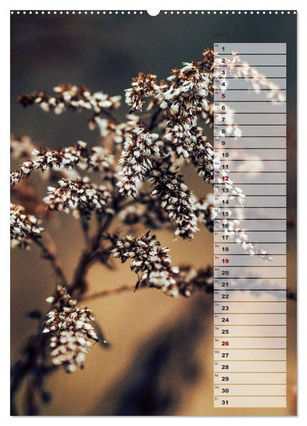Produktbild: Kalender - Natur im Detail (Wandkalender 2026 DIN A2 hoch), CALVENDO Monatskalender