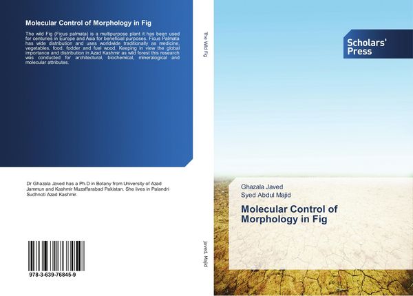 Produktbild: Molecular Control of Morphology in Fig
