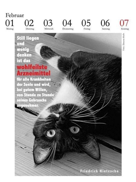 Produktbild: Der literarische Katzenkalender 2027