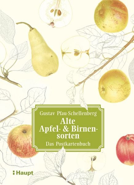 Produktbild: Alte Apfel- & Birnensorten - Das Postkartenbuch